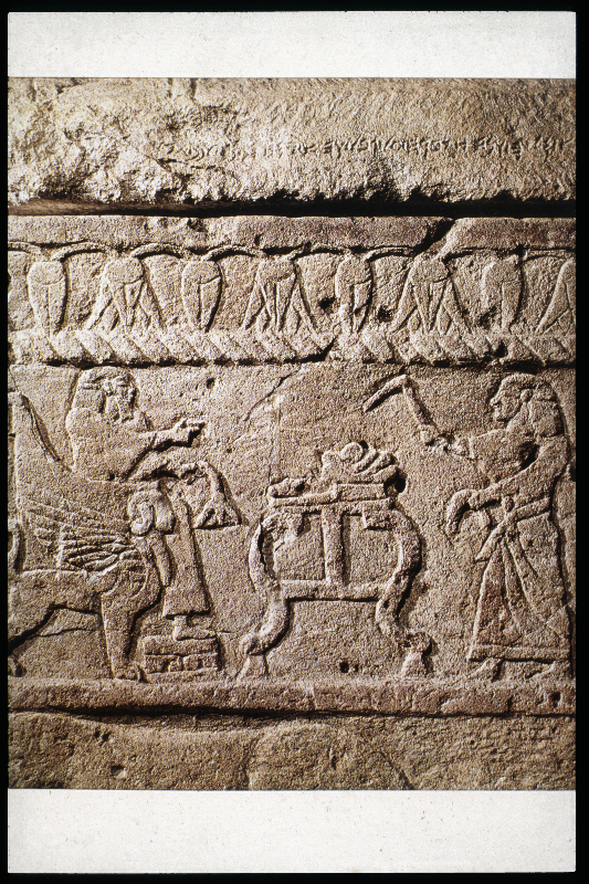 Detailansicht