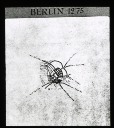 2/2; Berlin 1275; 1370