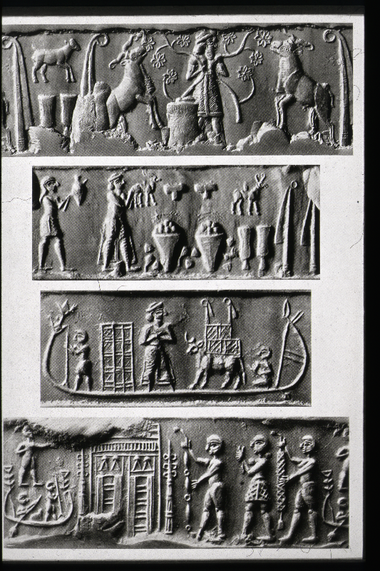 Detailansicht