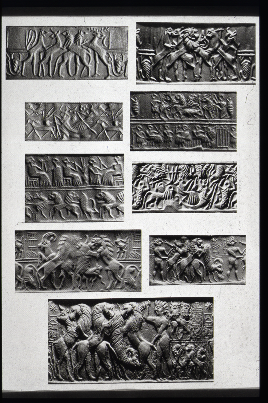 Detailansicht