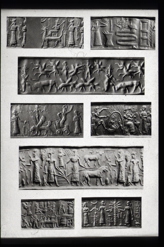 Detailansicht
