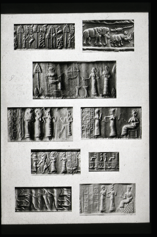 Detailansicht