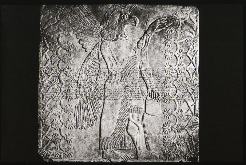 Detailansicht