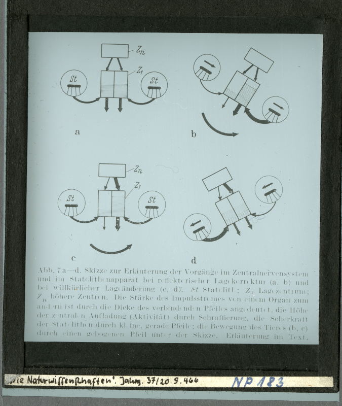 Detailansicht