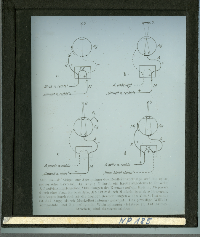 Detailansicht