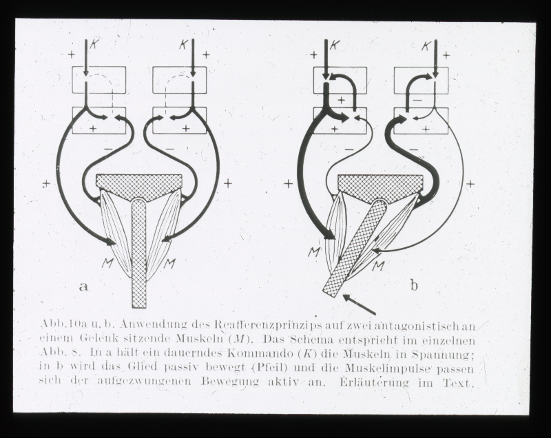 Detailansicht