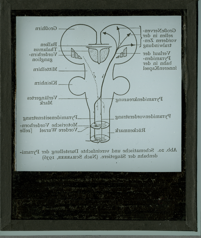 Detailansicht