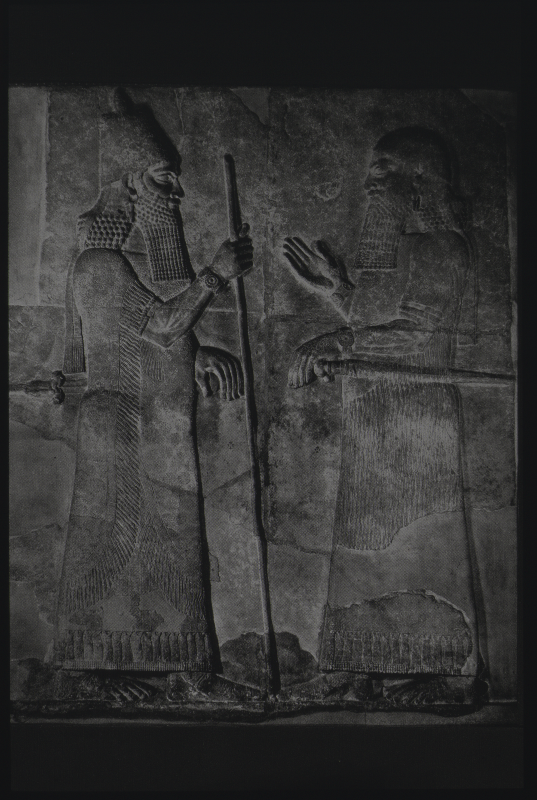 Detailansicht