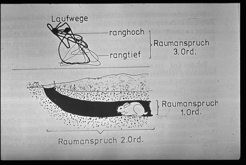 Detailansicht