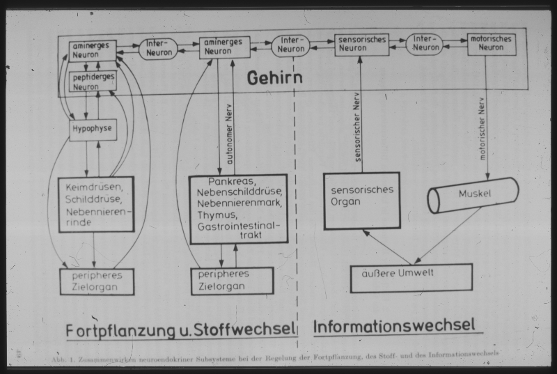 Detailansicht