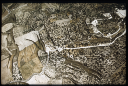 12.27 B53 Samaria/Sebastye; Blick nach N Ausgrabungen W-Tor; israelit. Palast röm. Tempel, Forum