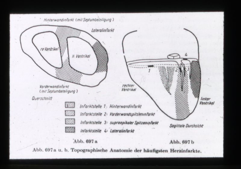Detailansicht