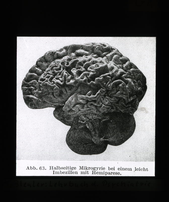 Detailansicht