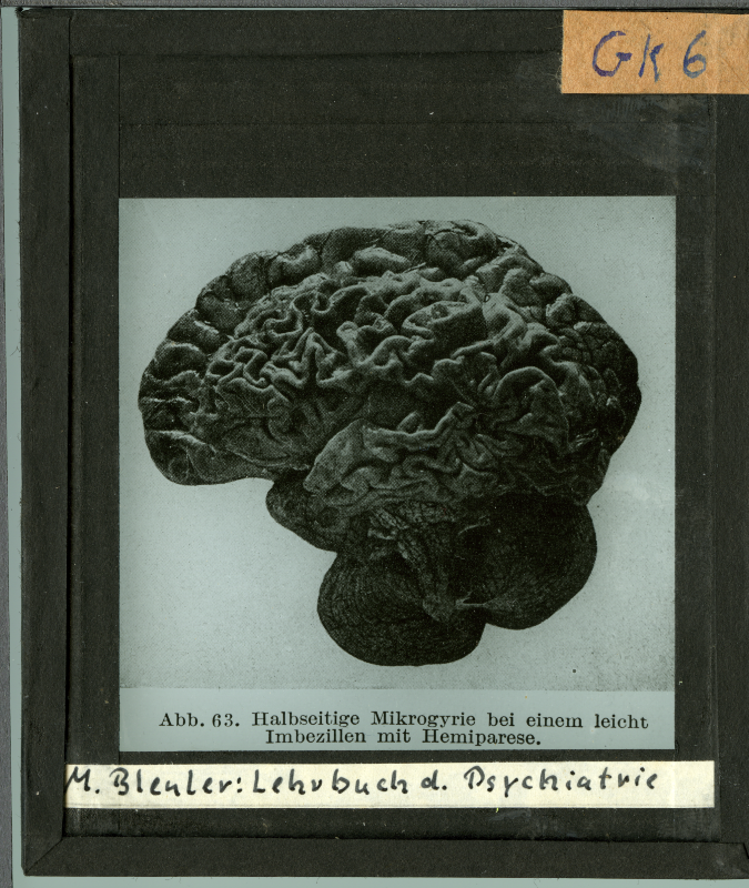 Detailansicht