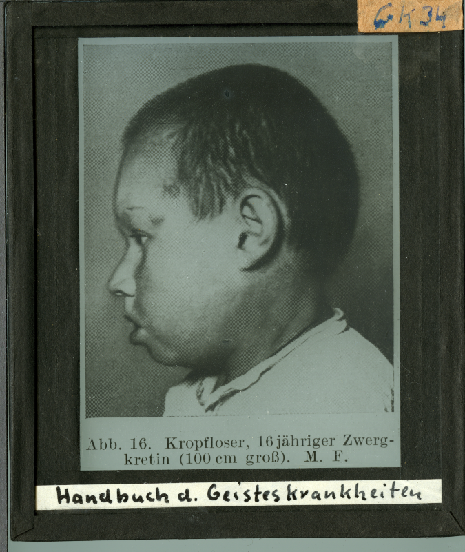 Detailansicht