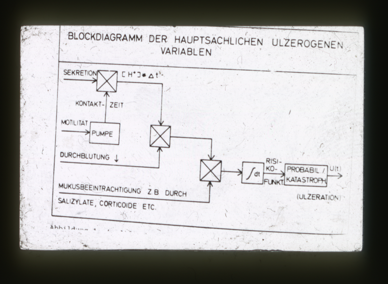 Detailansicht