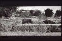 5.44 ; Nordmauer ~70n.Chr.; Kenyon, K. Ausgrab. Jerusal. Taf.86