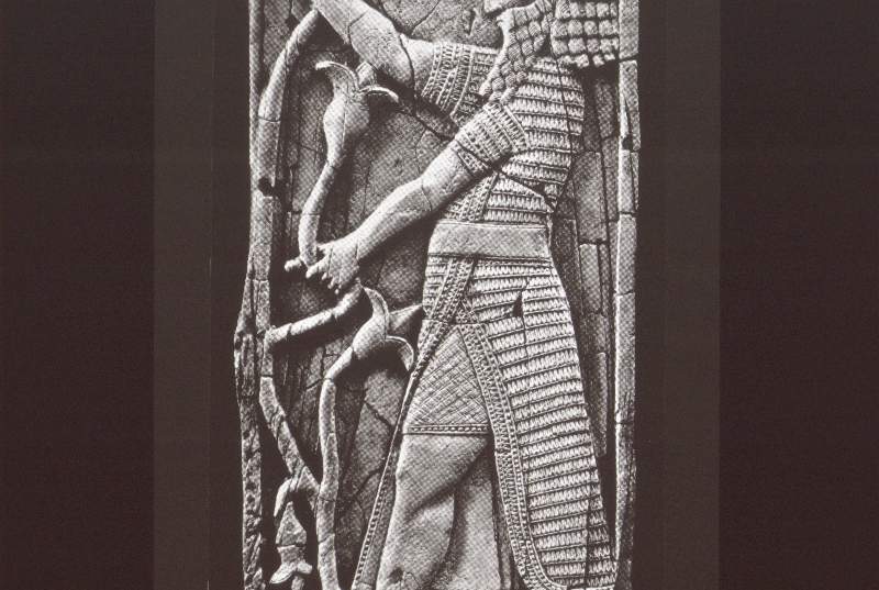 Detailansicht