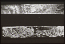 5.62 ; Ivory panel; MALLOWAN, Nimrud Abb.418/419
