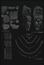 6.89 ; Vases, Glass, Beads; Lachish IV, Pl.27